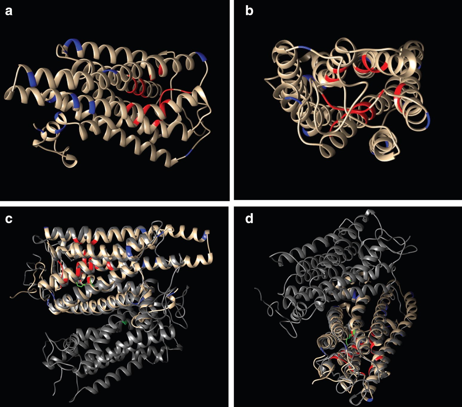 Fig. 3