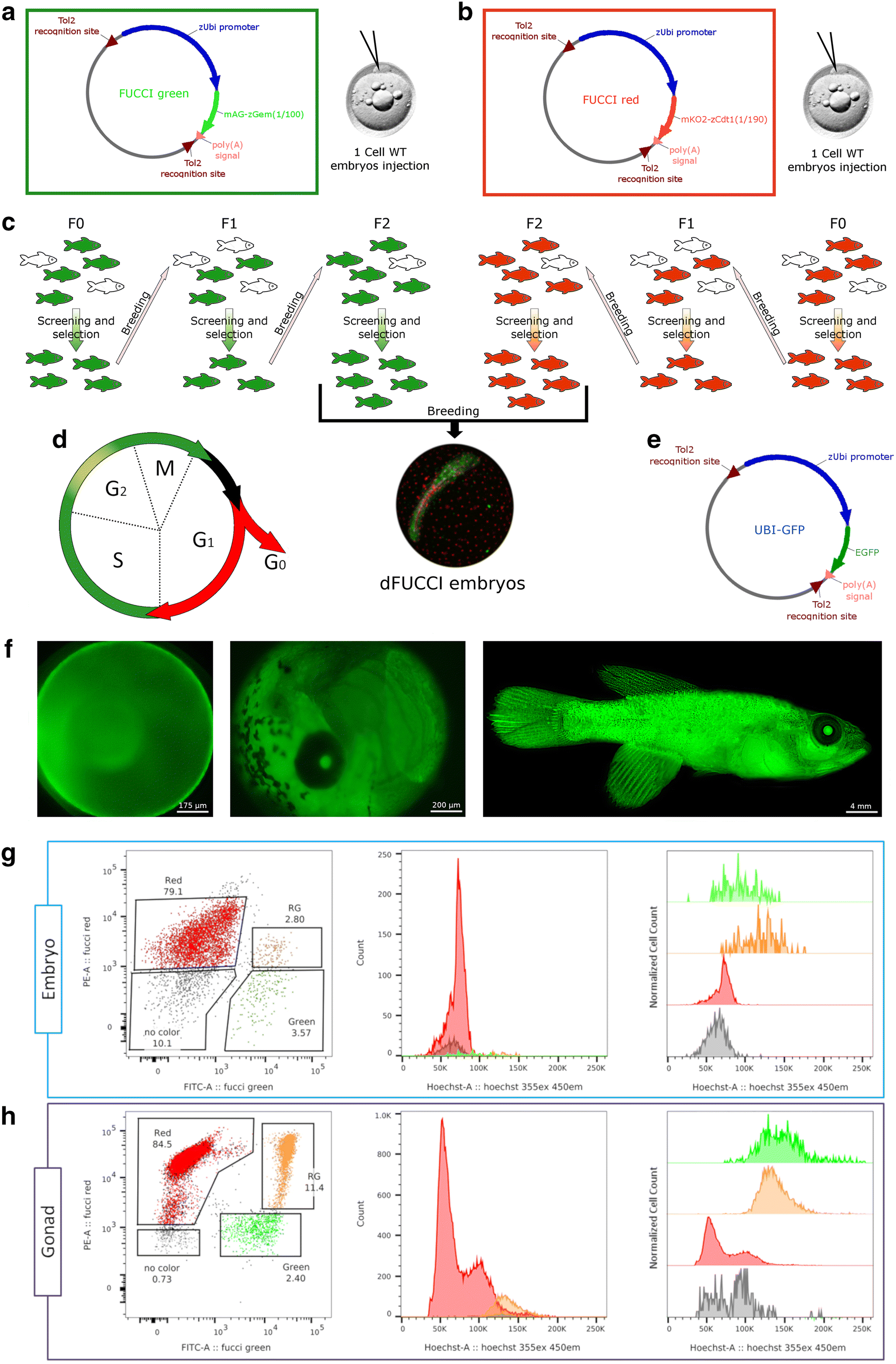 Fig. 1