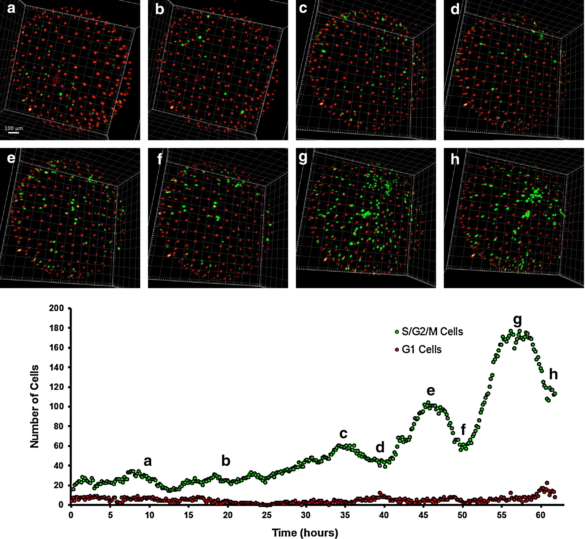 Fig. 7