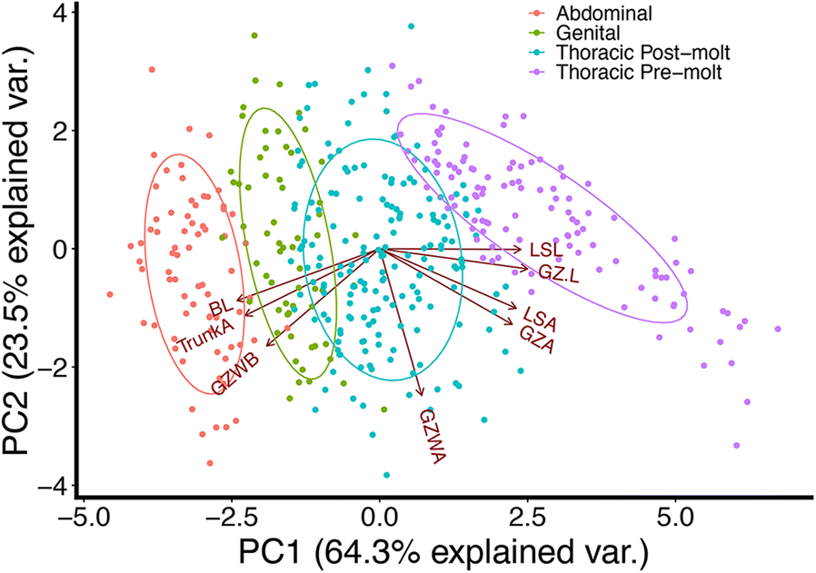 Fig. 4