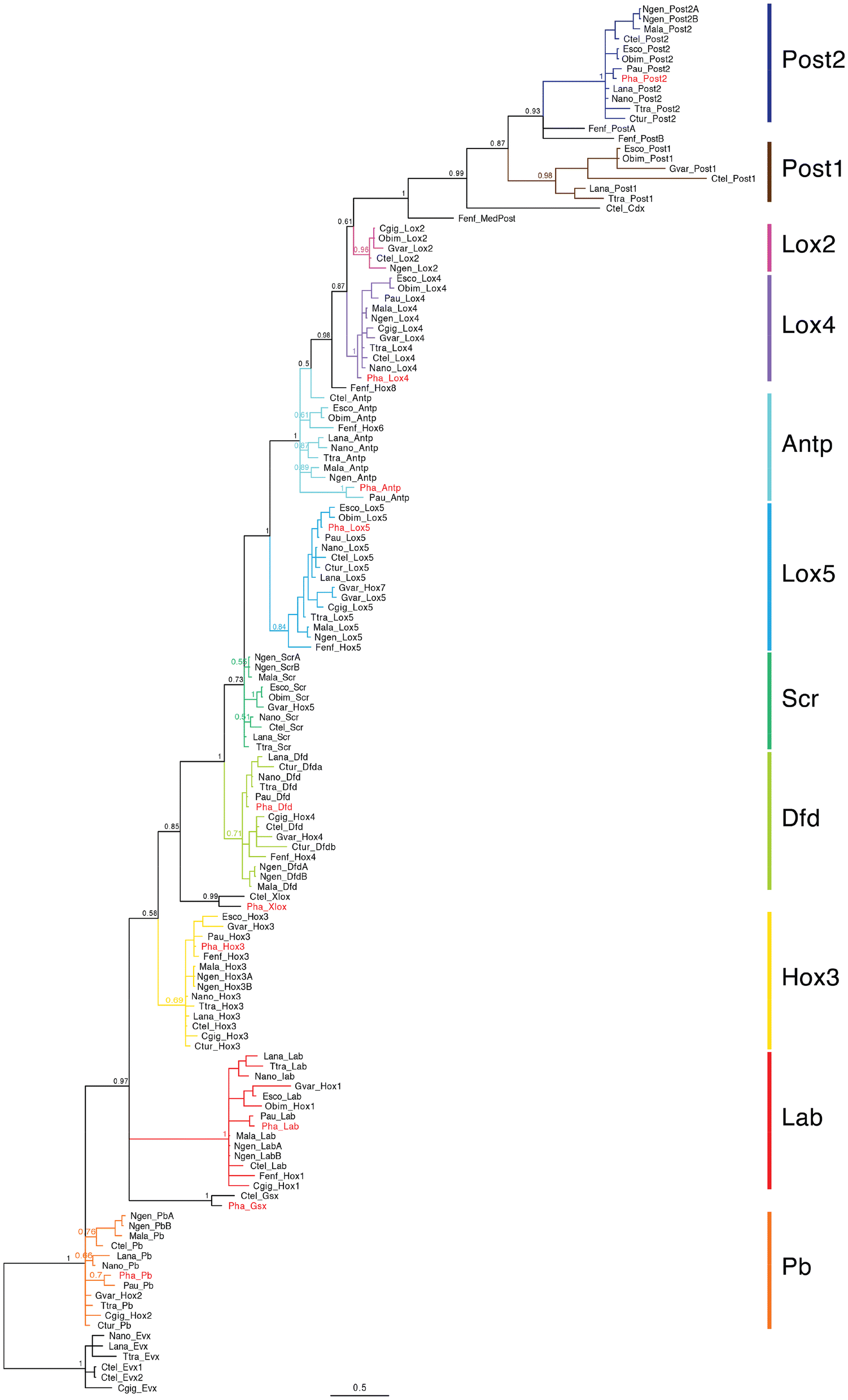 Fig. 2