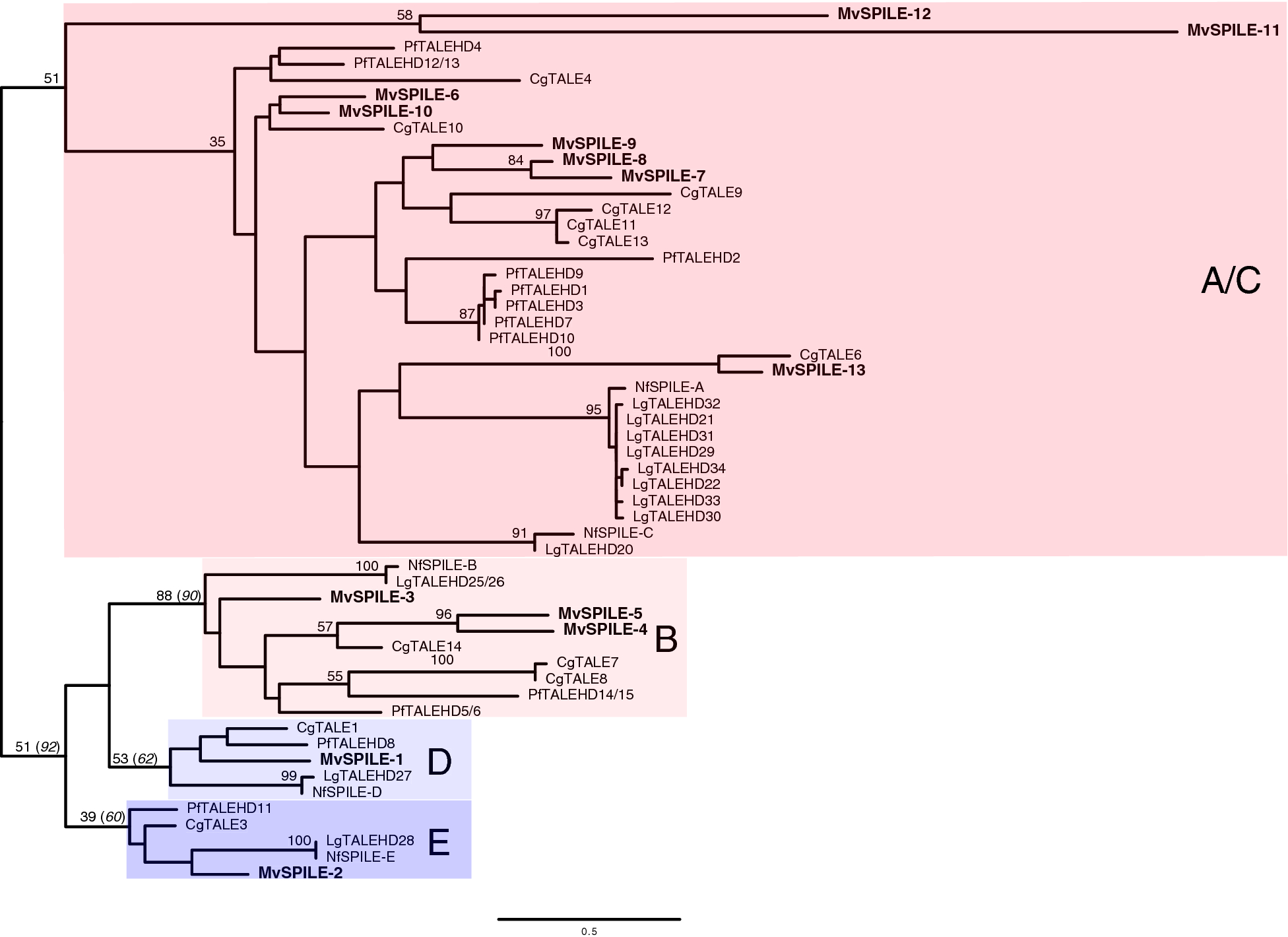 Fig. 2