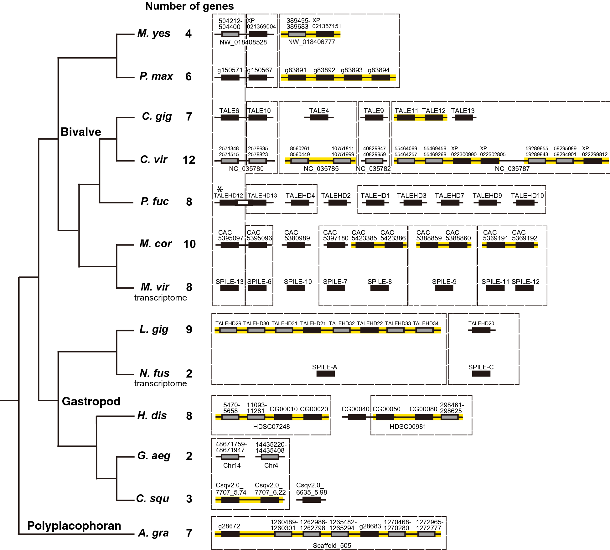 Fig. 3