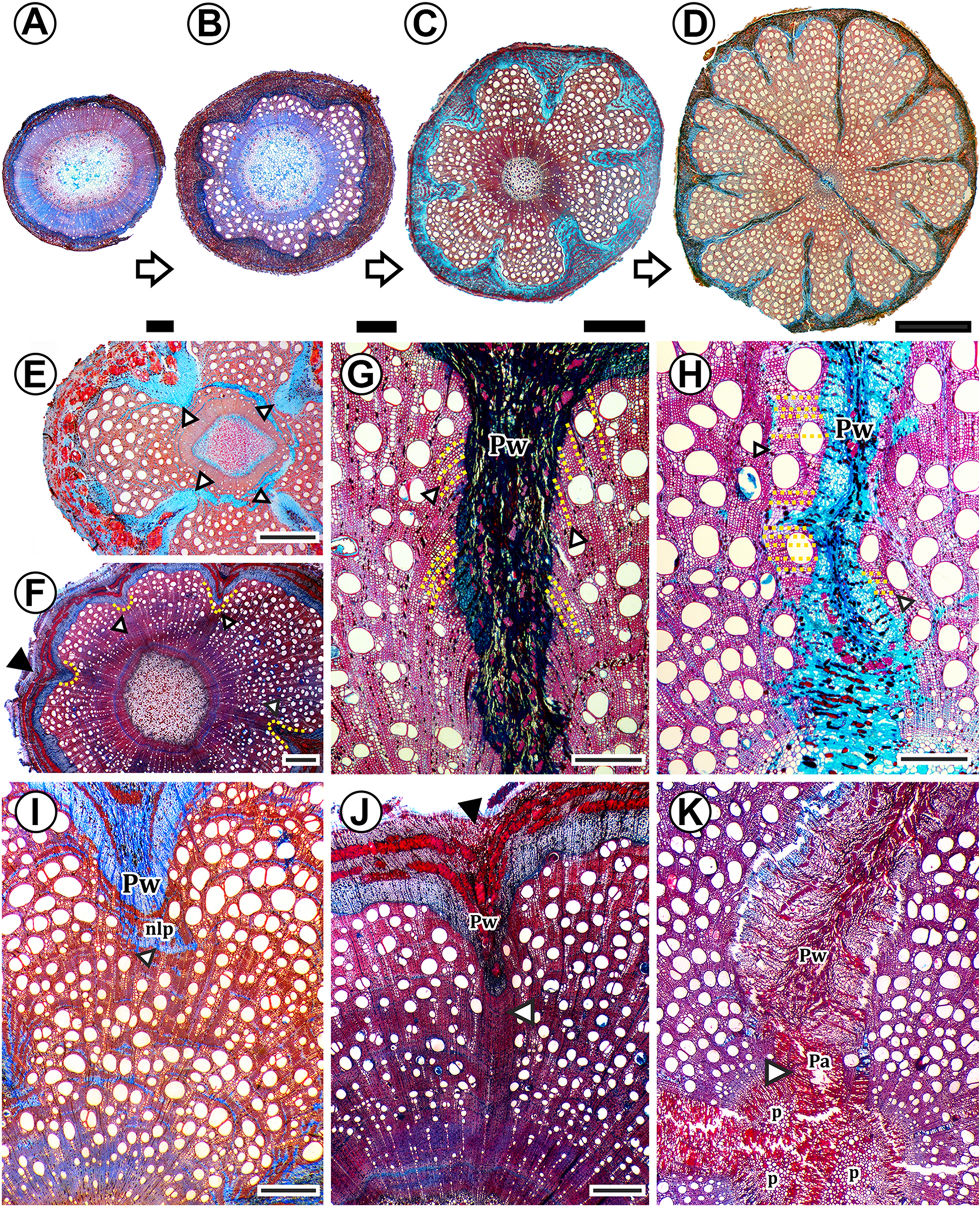 Fig. 6