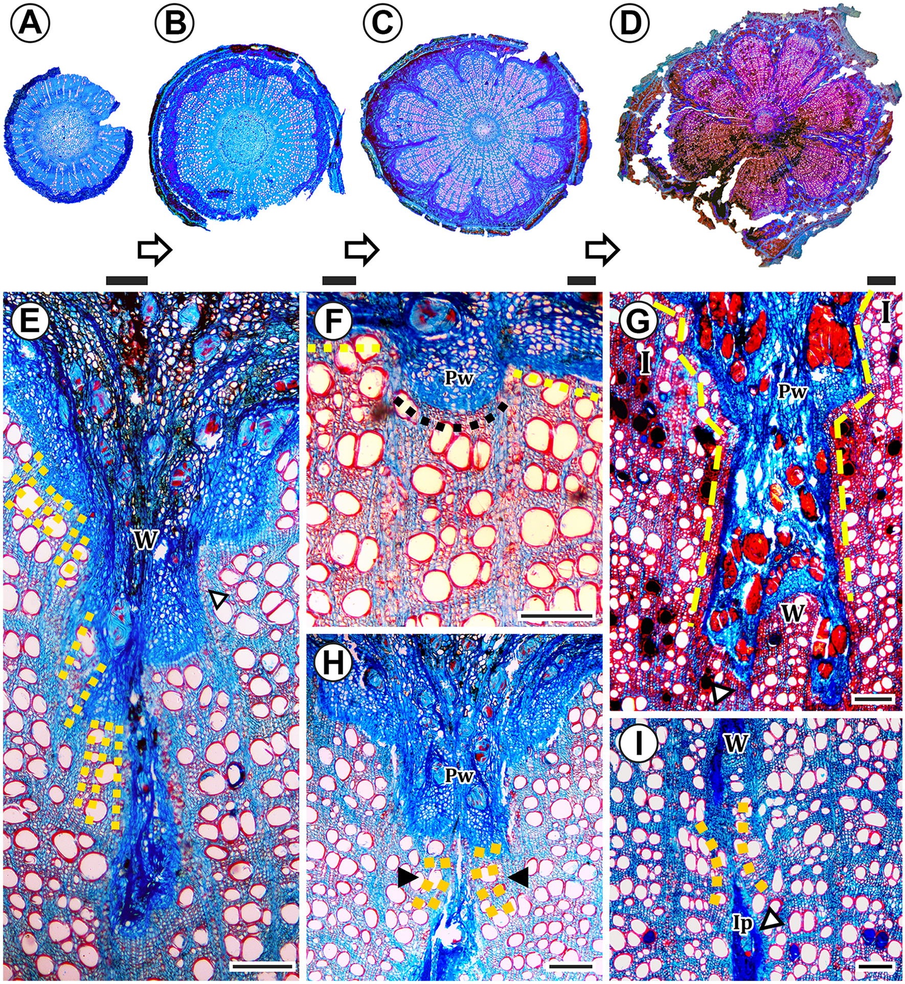 Fig. 8