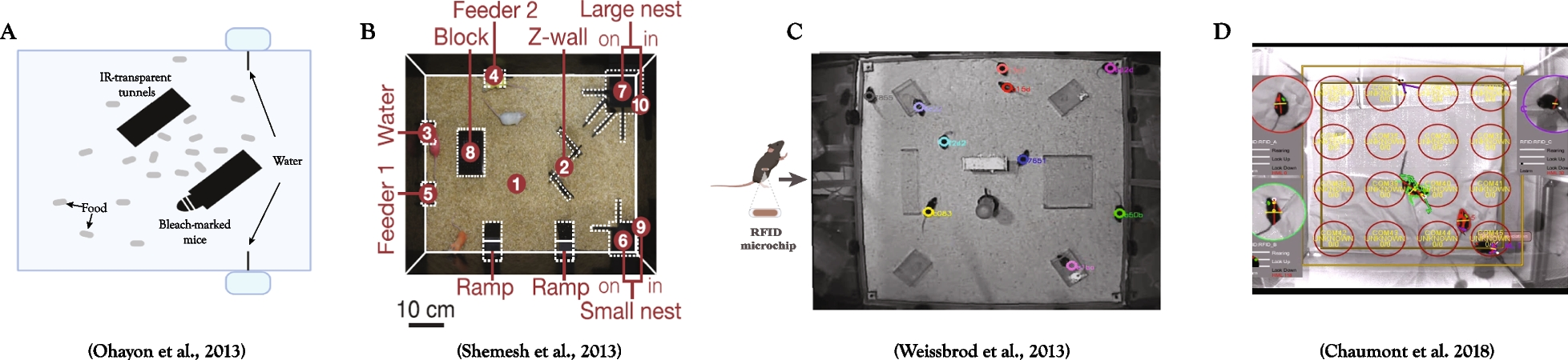 Fig. 2