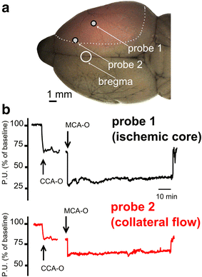 Fig. 2