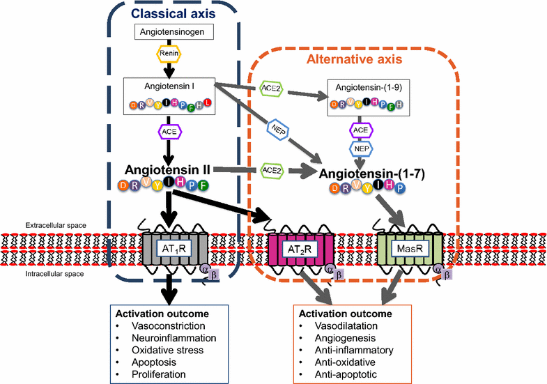 Fig. 1