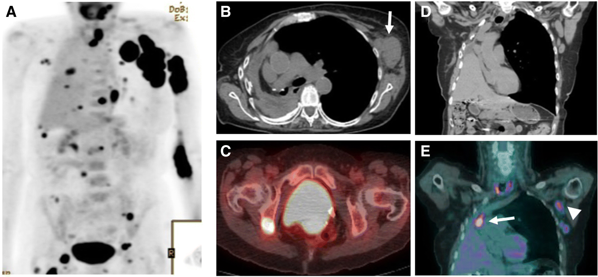 Fig. 8