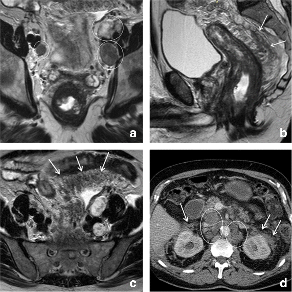 Fig. 6