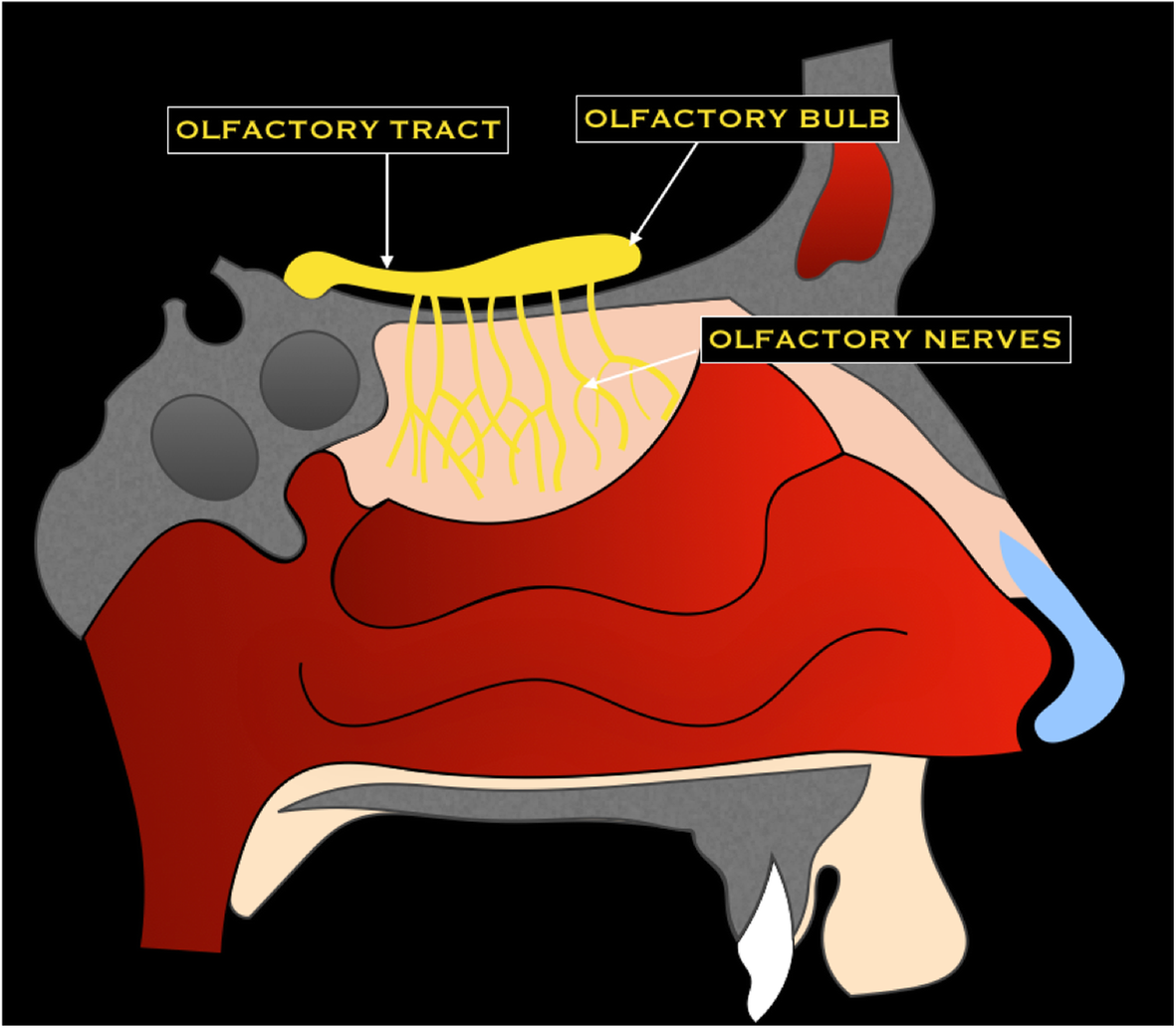 Fig. 4