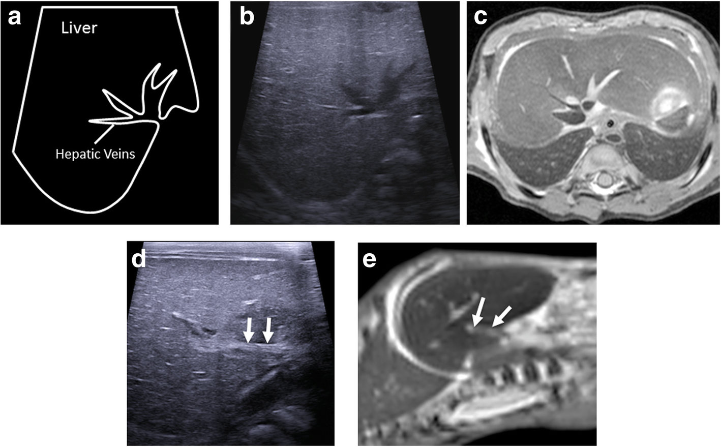 Fig. 12