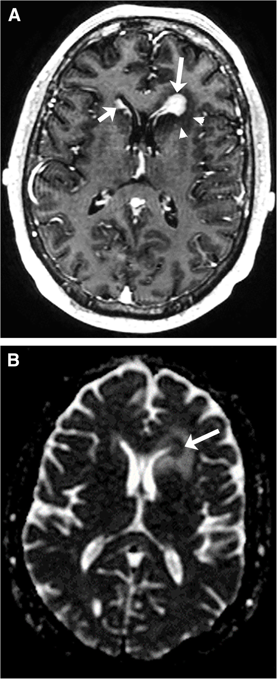 Fig. 7