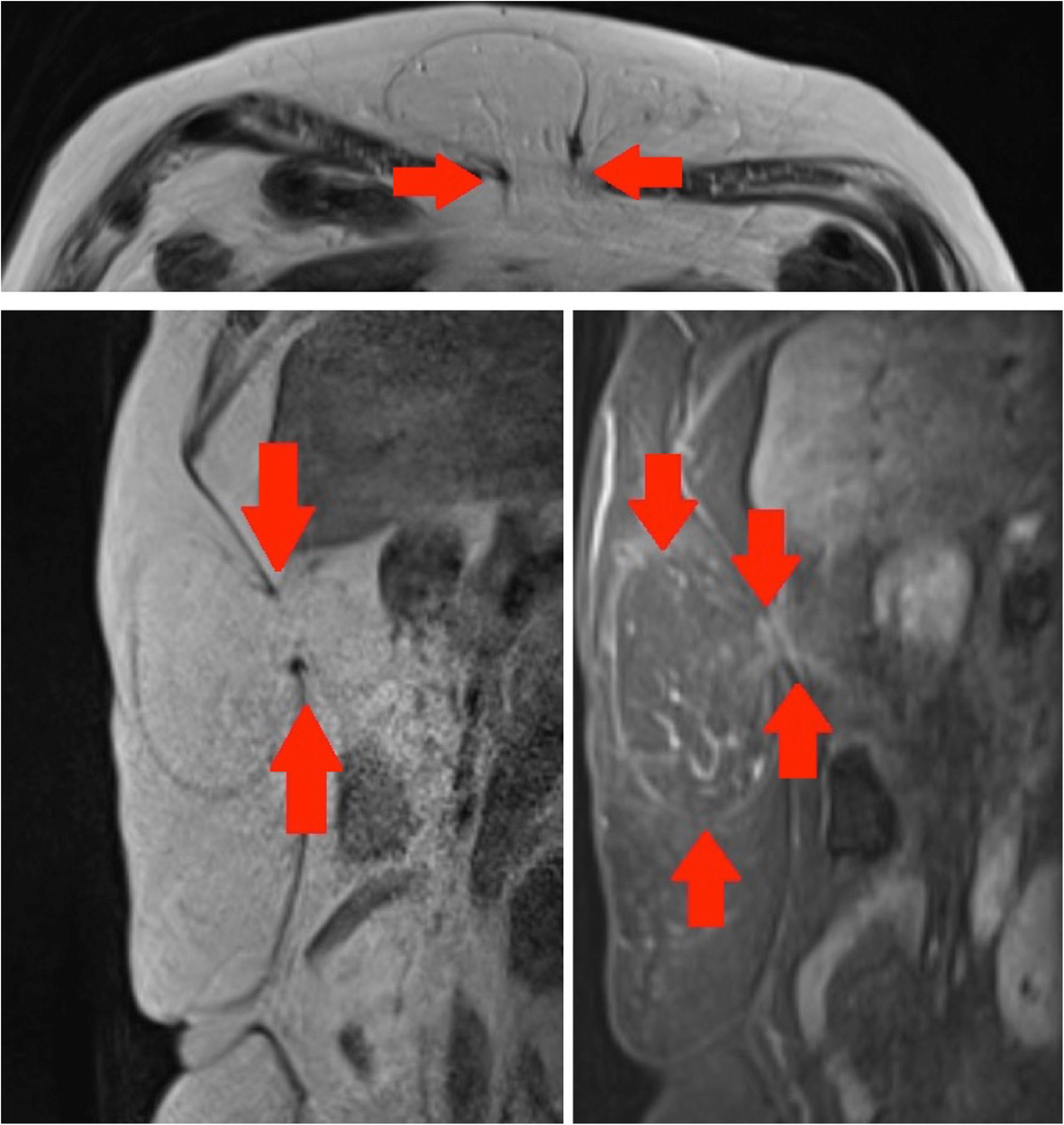 Fig. 5