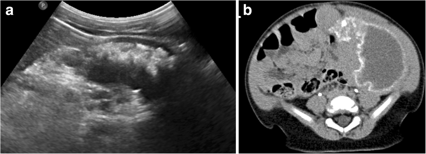 Fig. 5