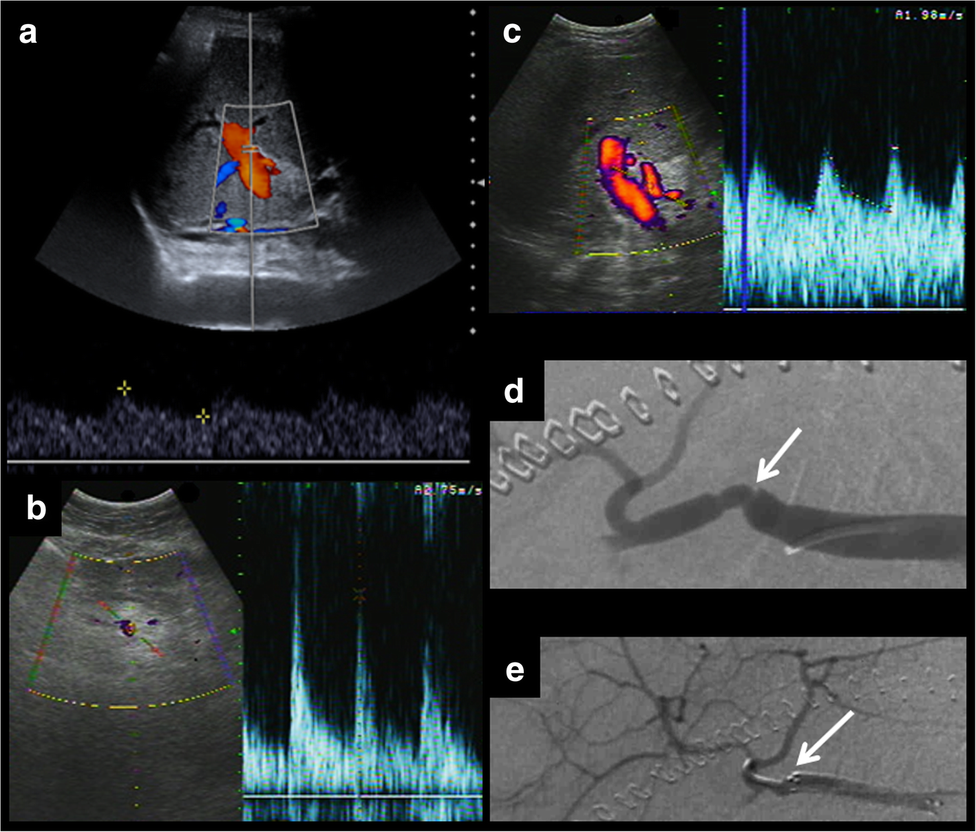 Fig. 4