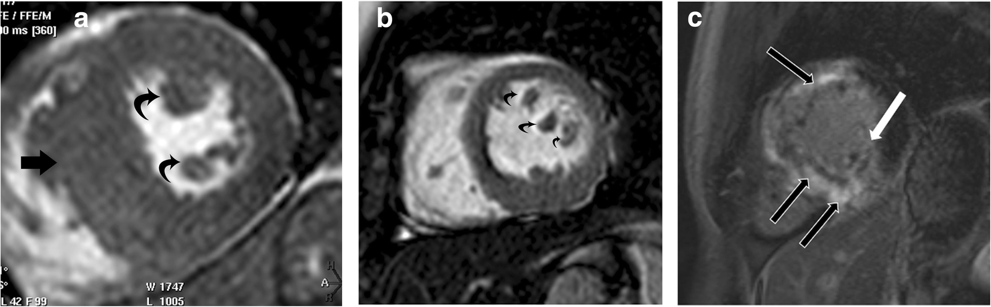 Fig. 8