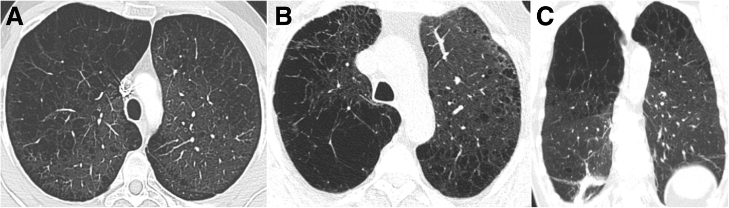 Fig. 5