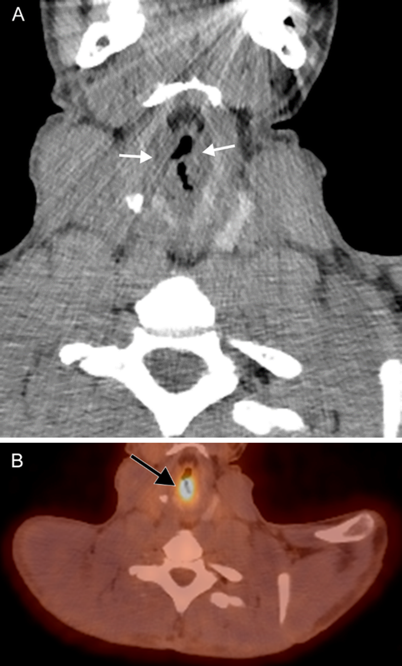 Fig. 8