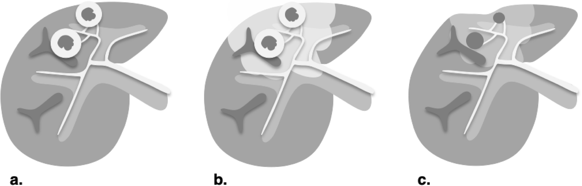 Fig. 28