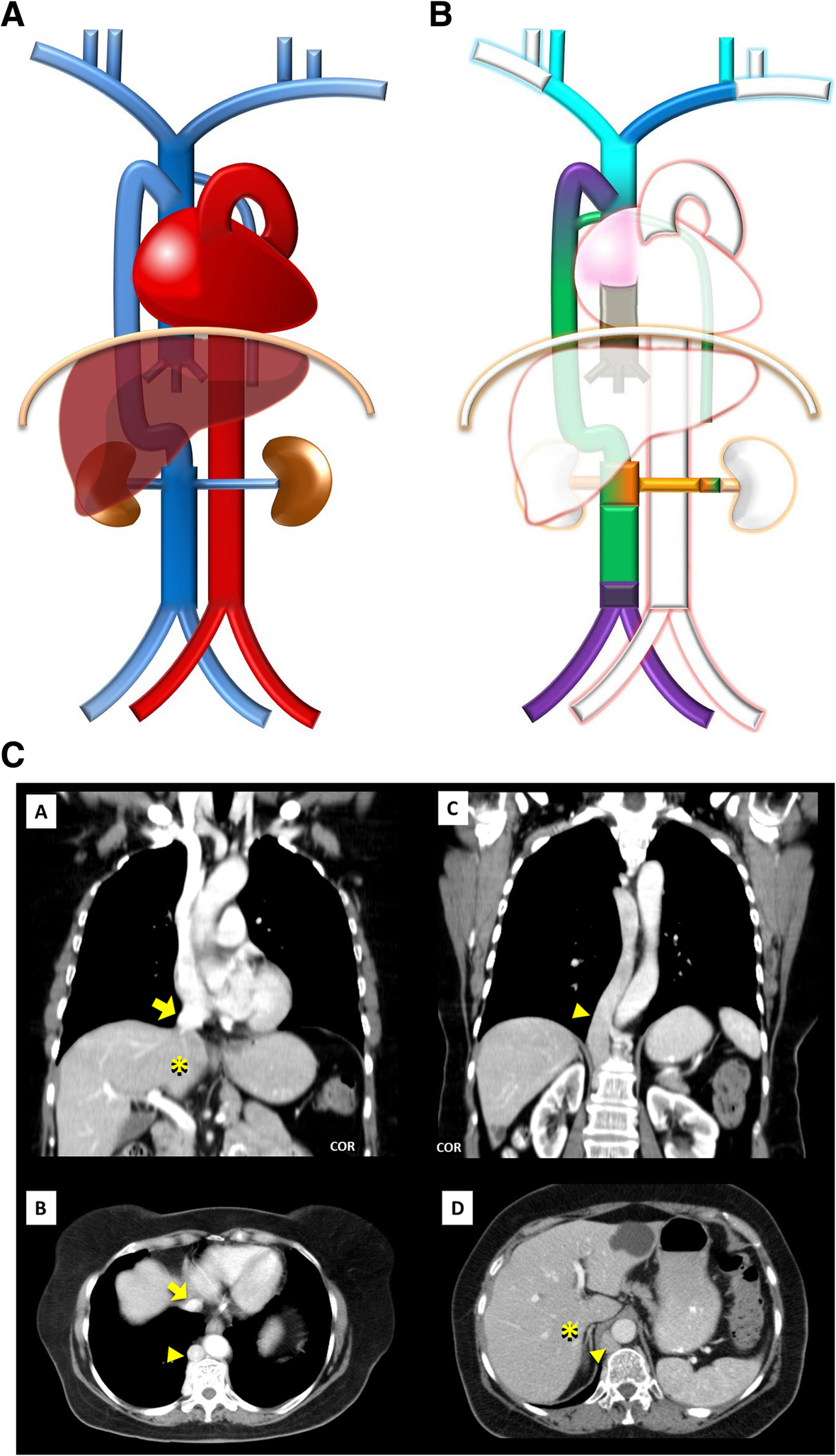 Fig. 9