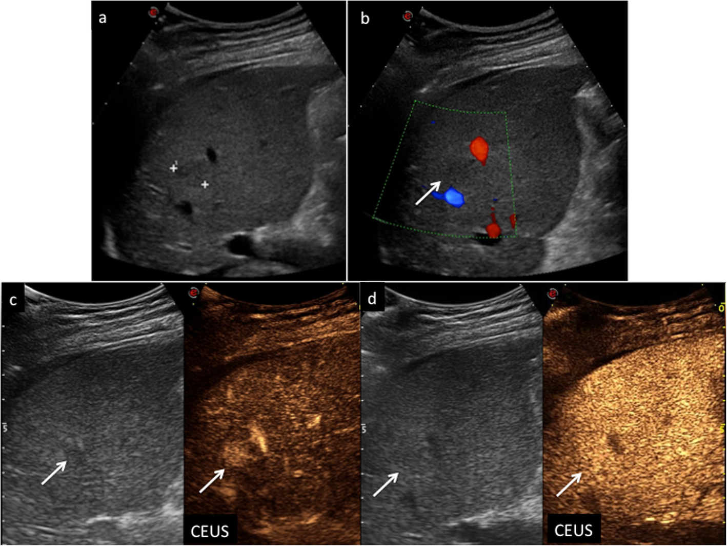 Fig. 8