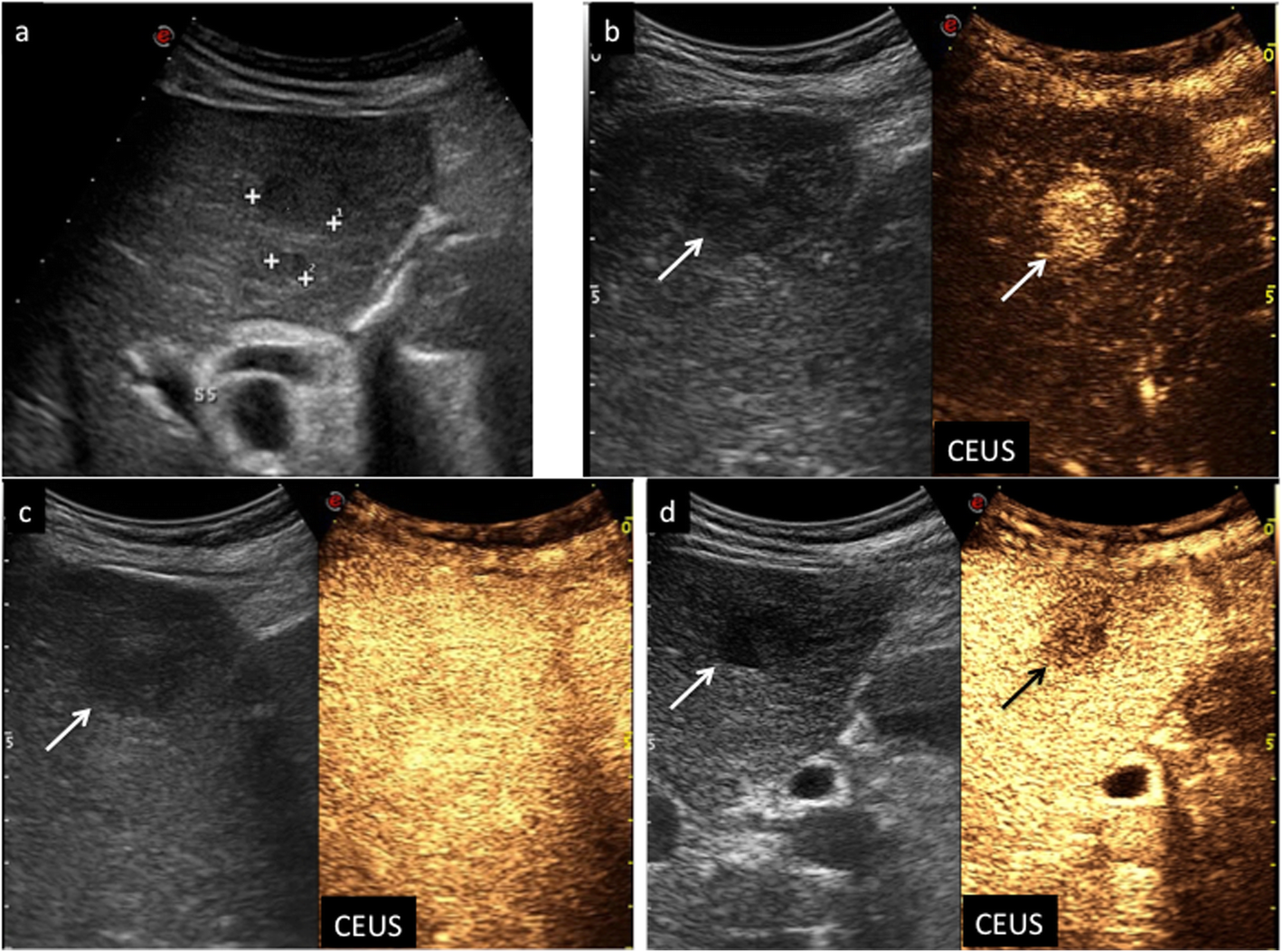 Fig. 9