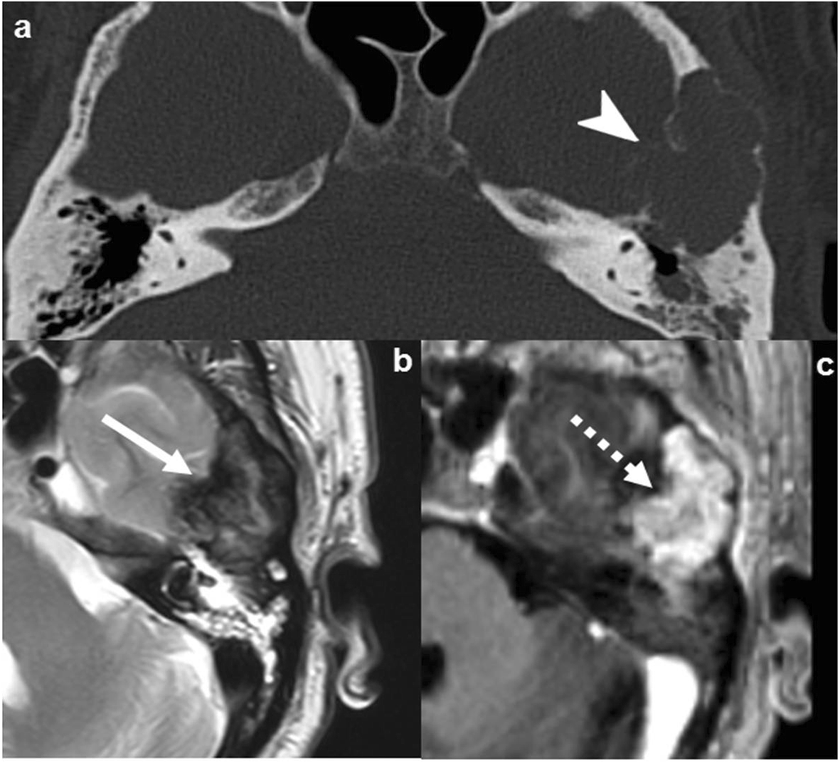 Fig. 7