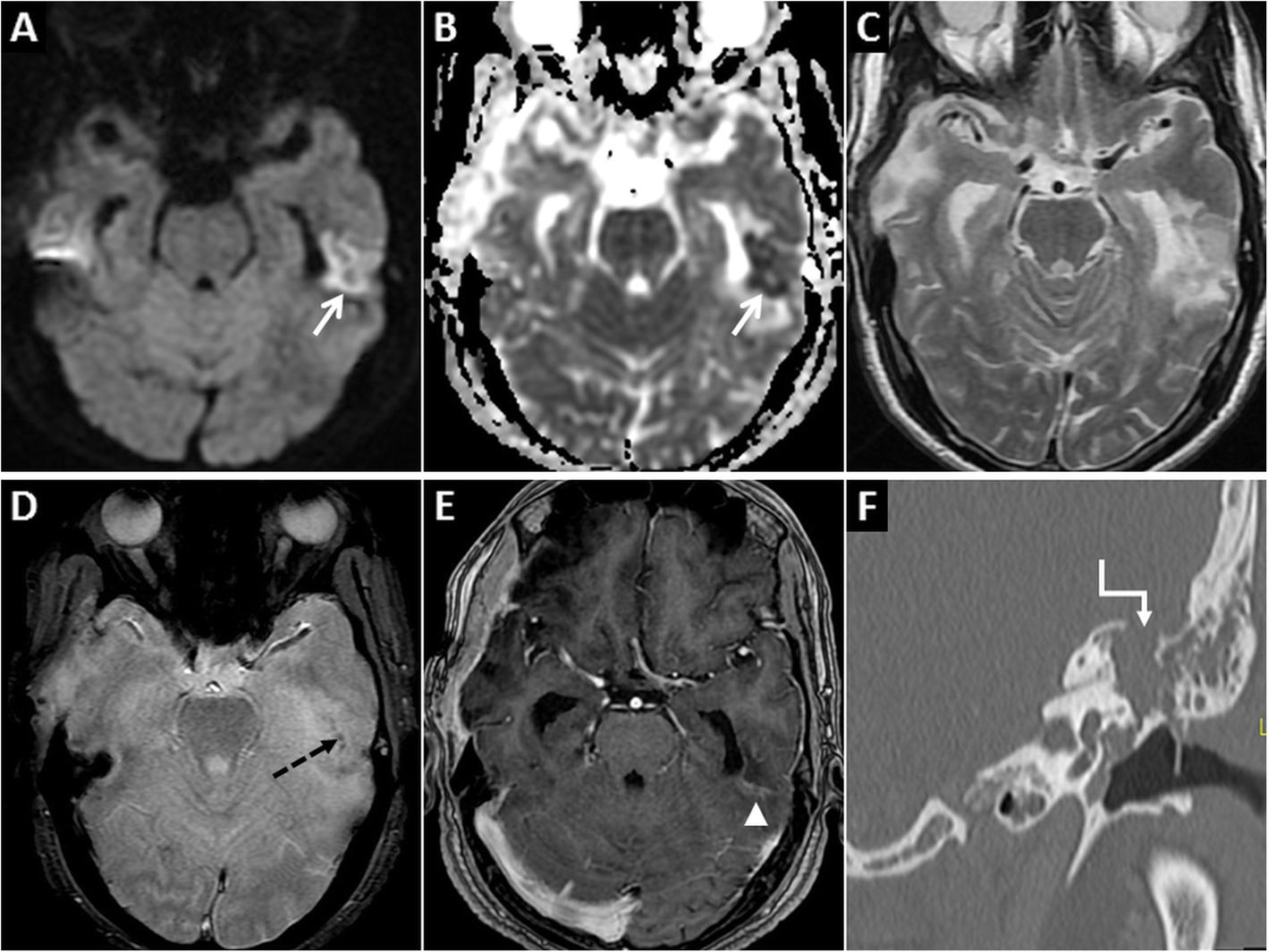 Fig. 7