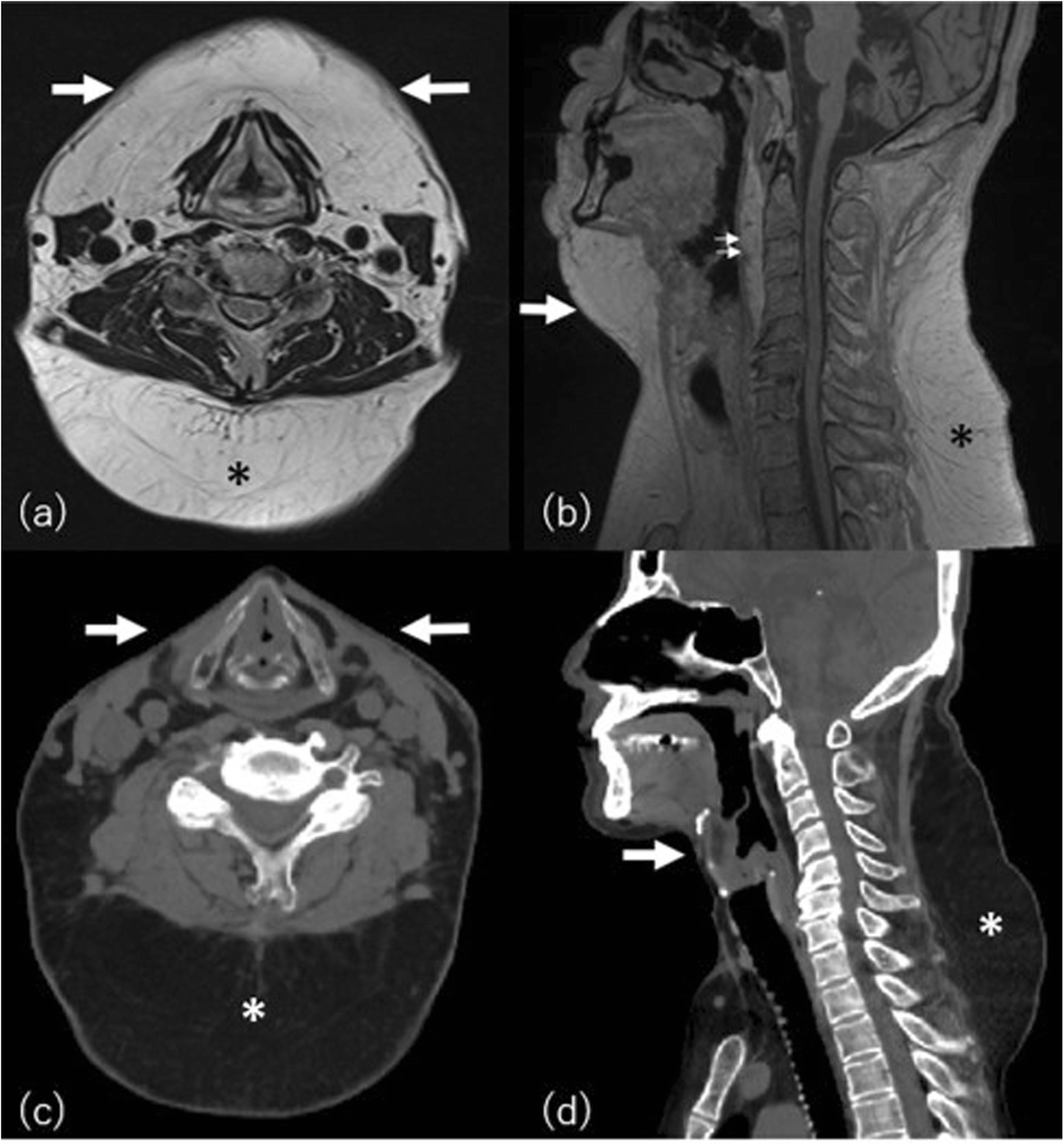 Fig. 8