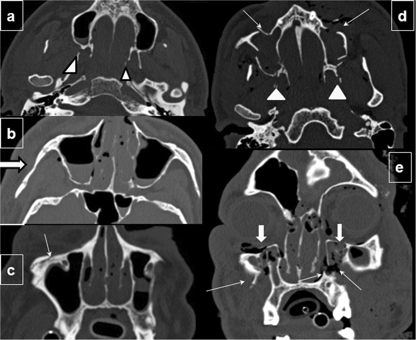 Fig. 8