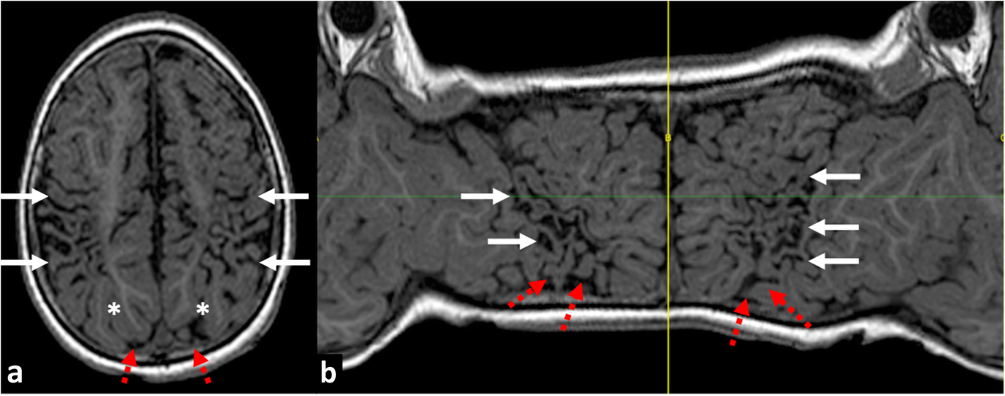 Fig. 8