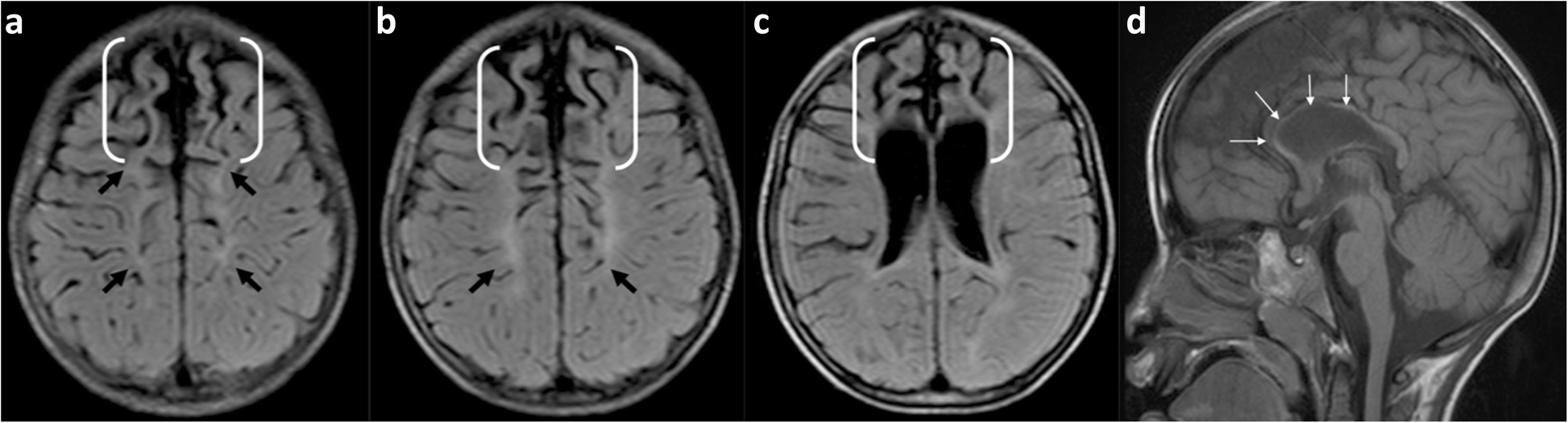 Fig. 9