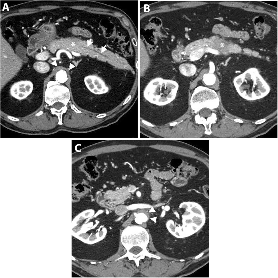 Fig. 10