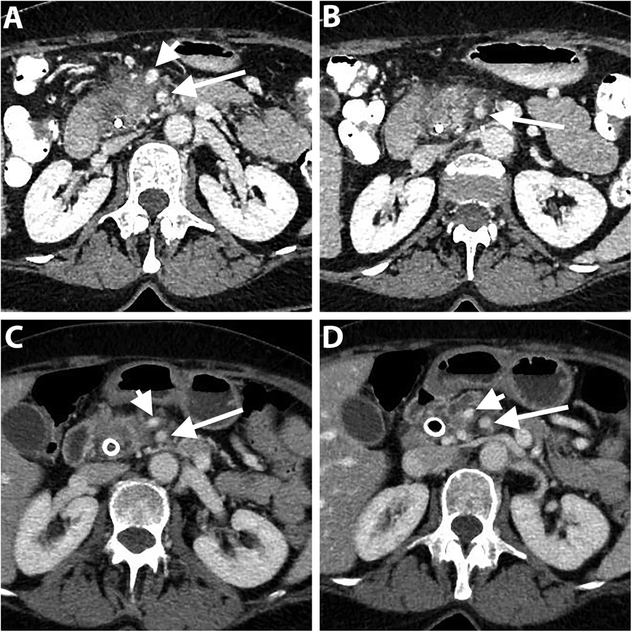 Fig. 8