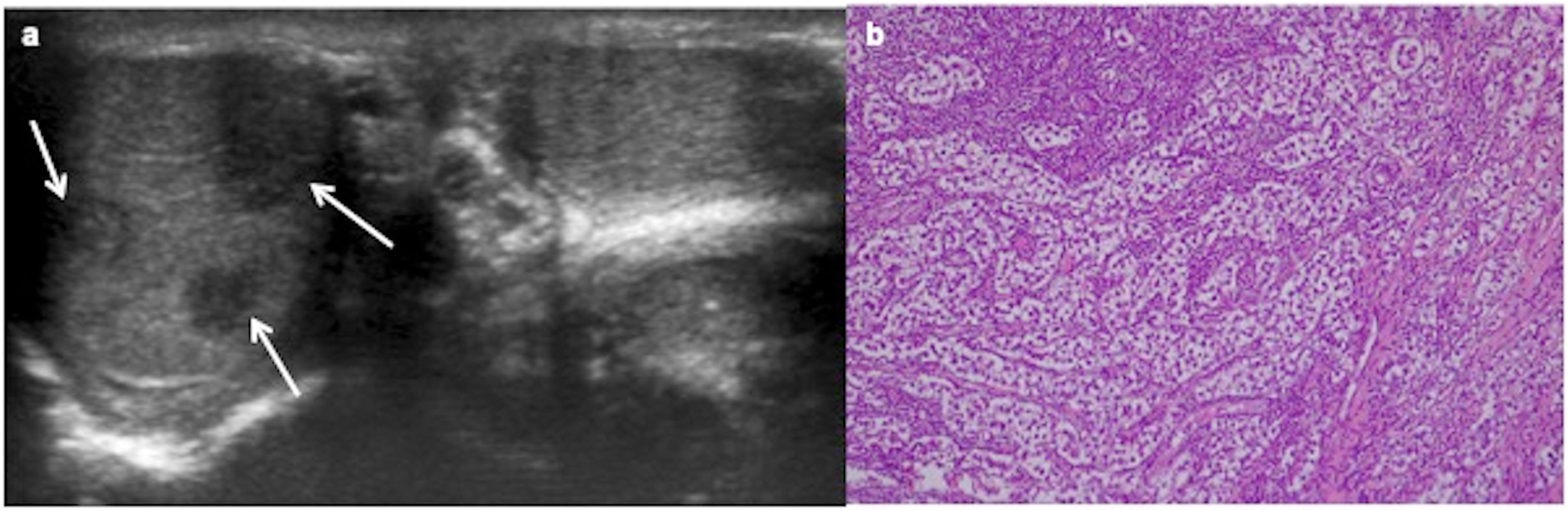 Fig. 10.