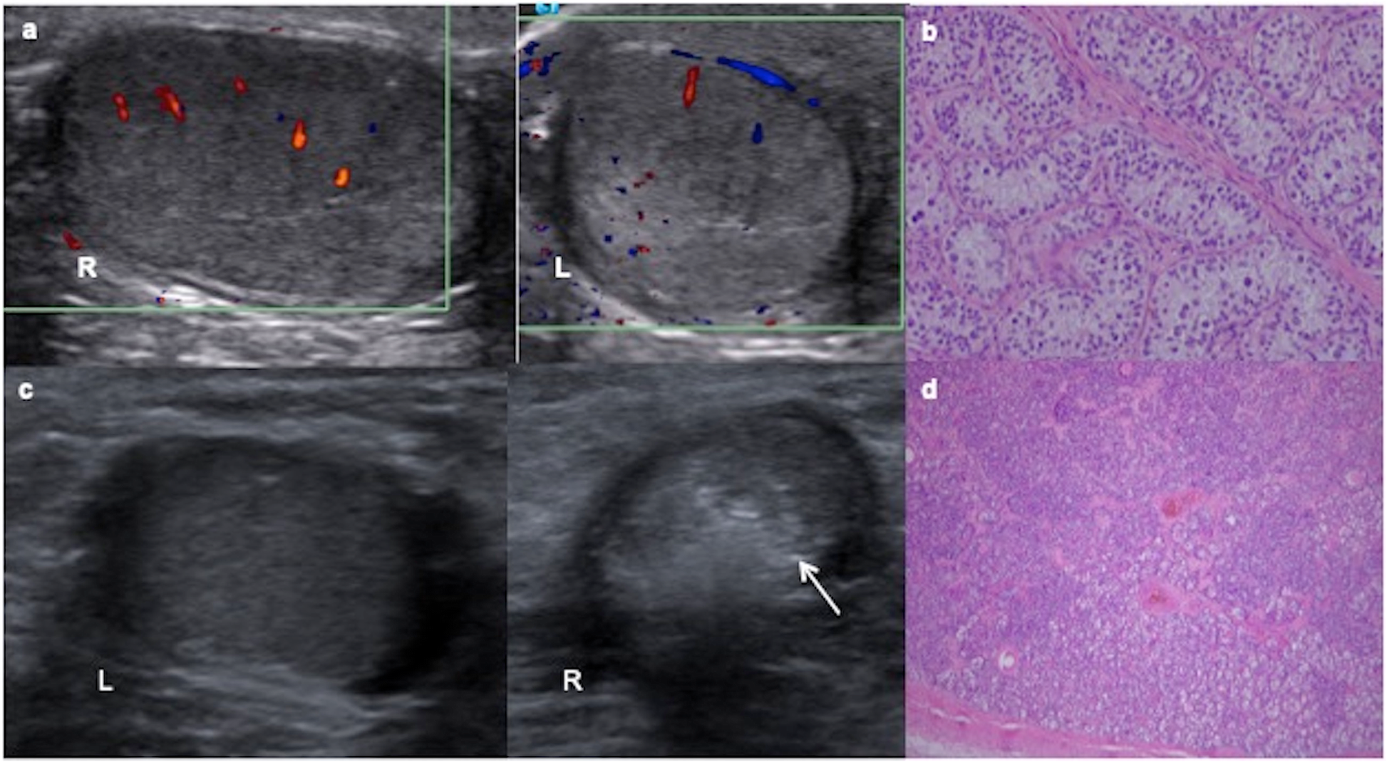 Fig. 9