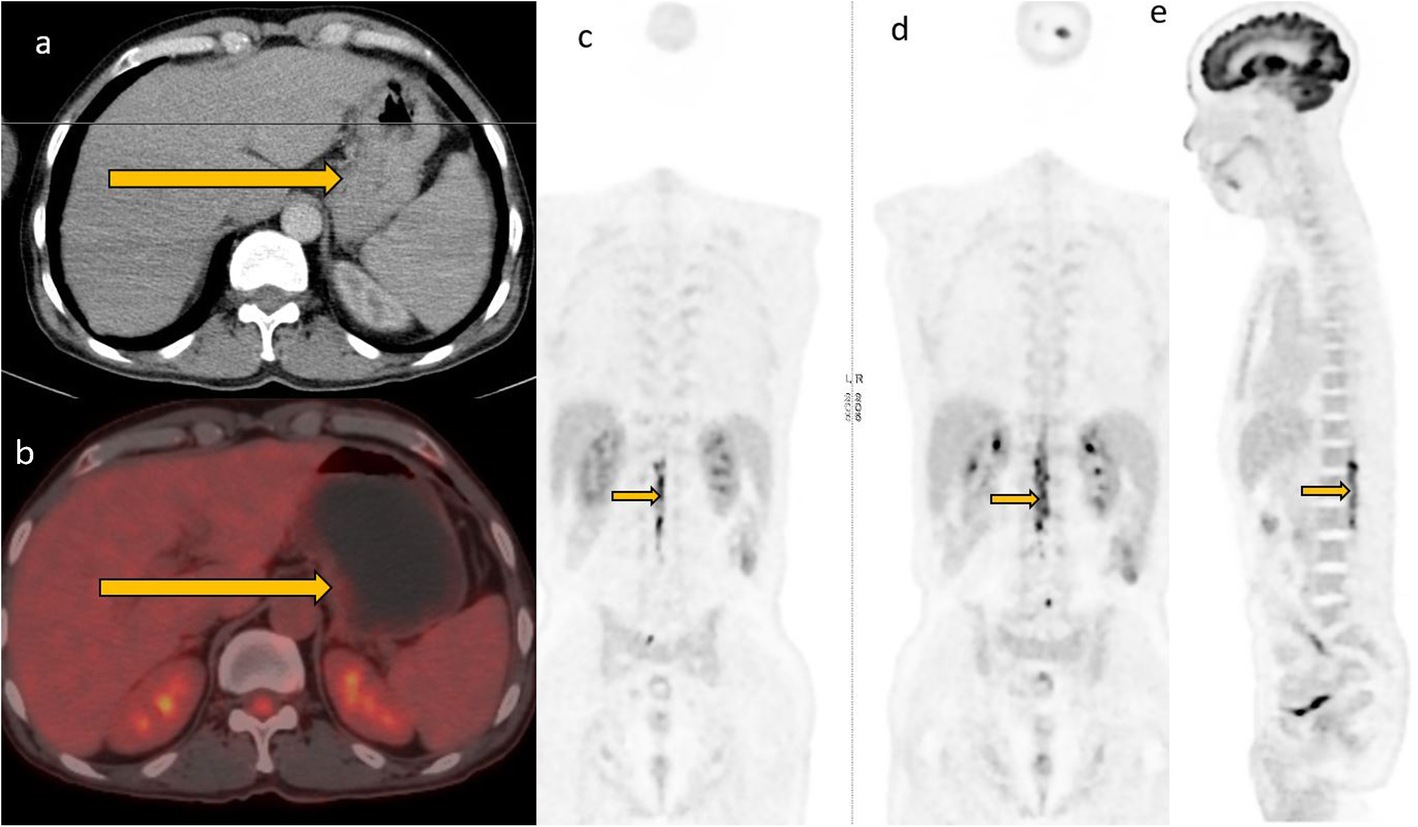 Fig. 8