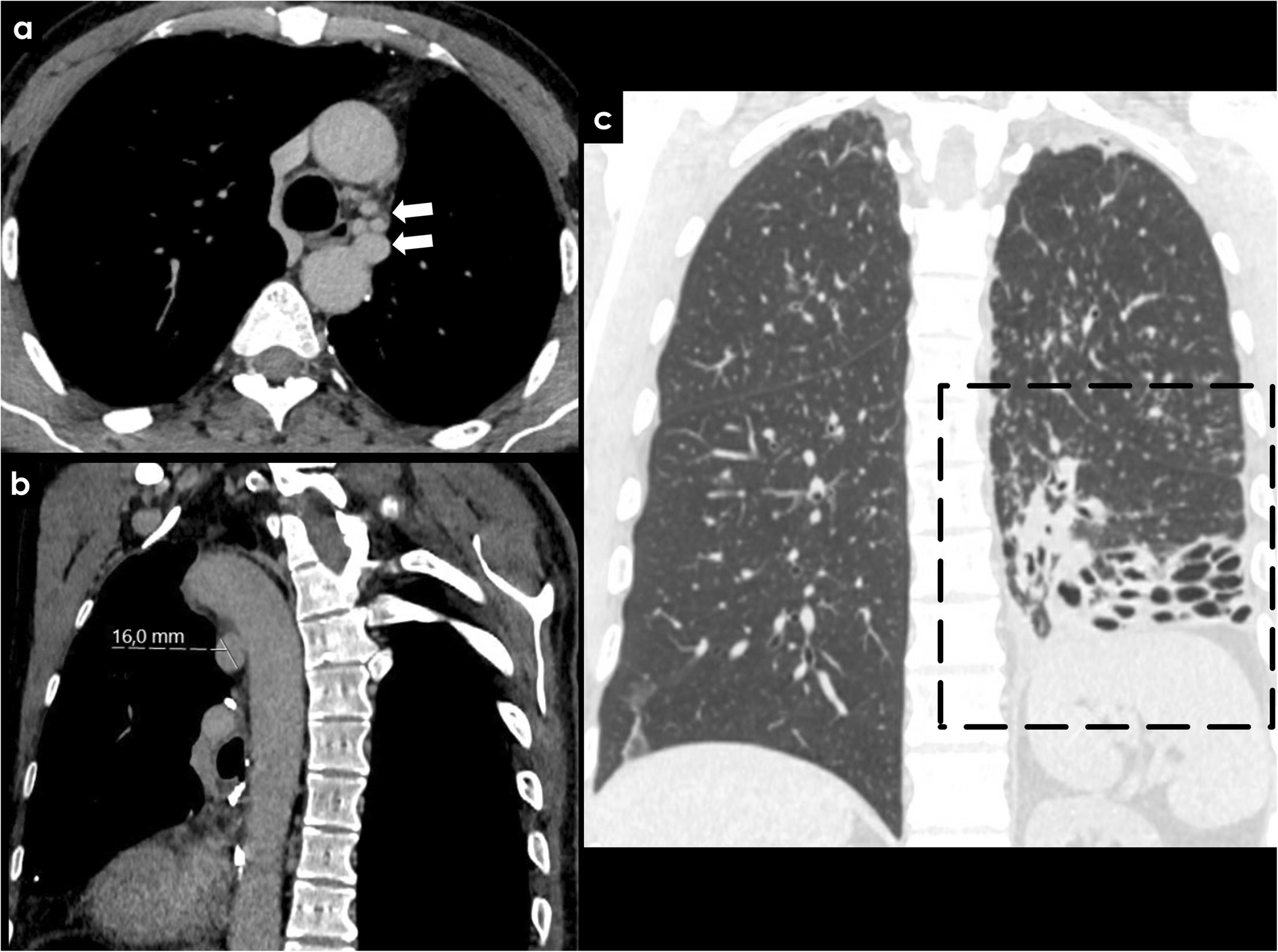 Fig. 6