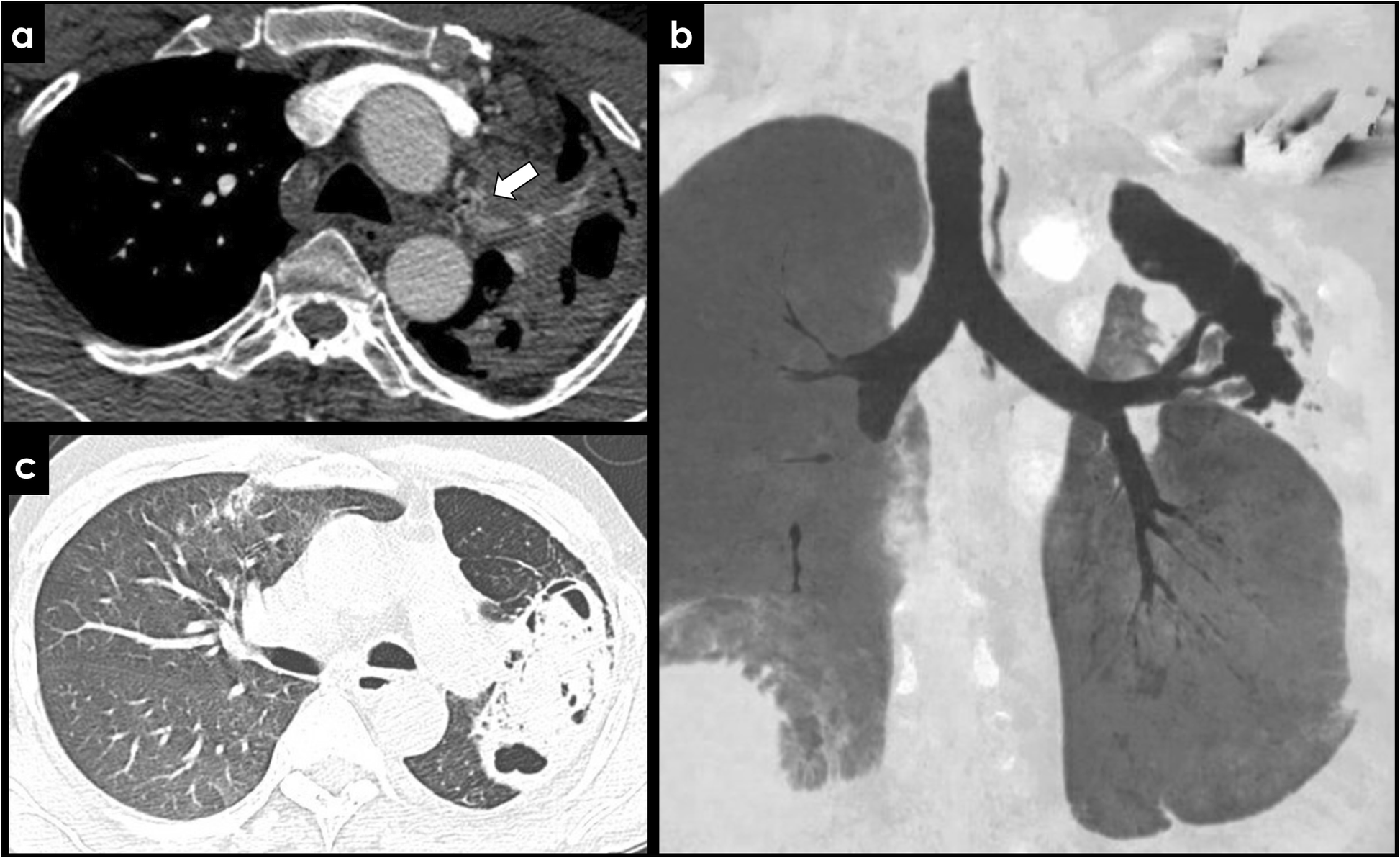 Fig. 9