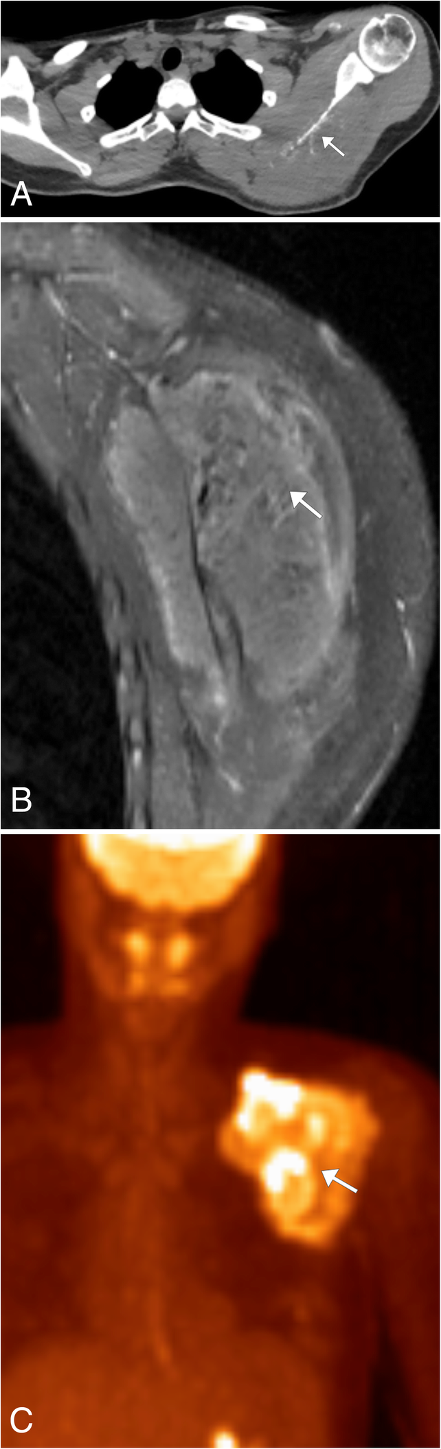 Fig. 19