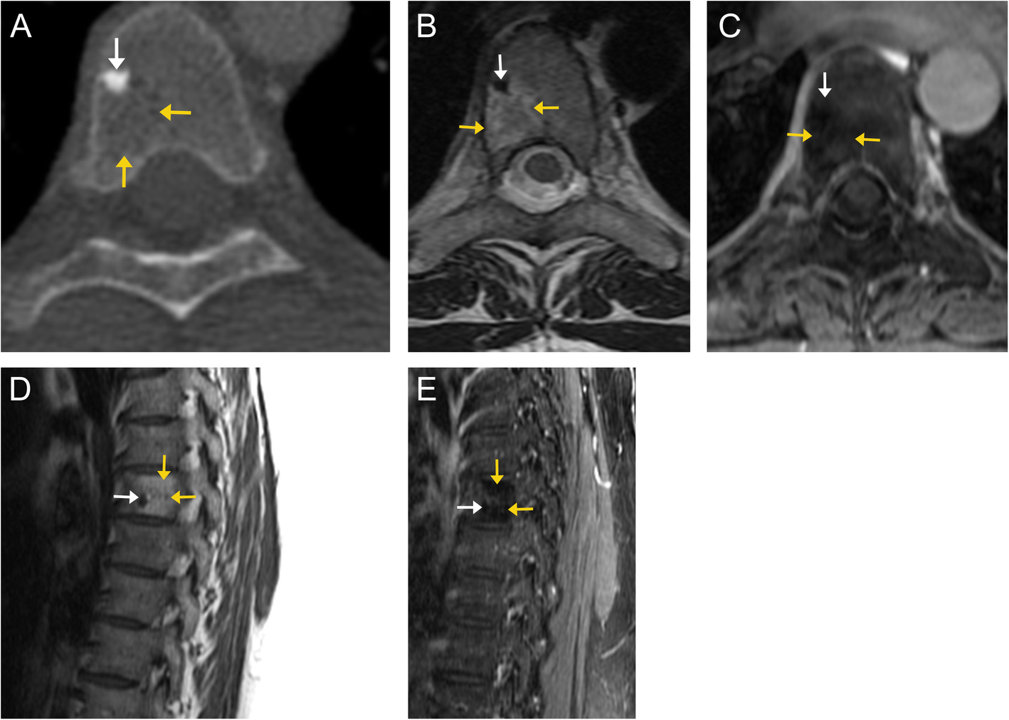 Fig. 5