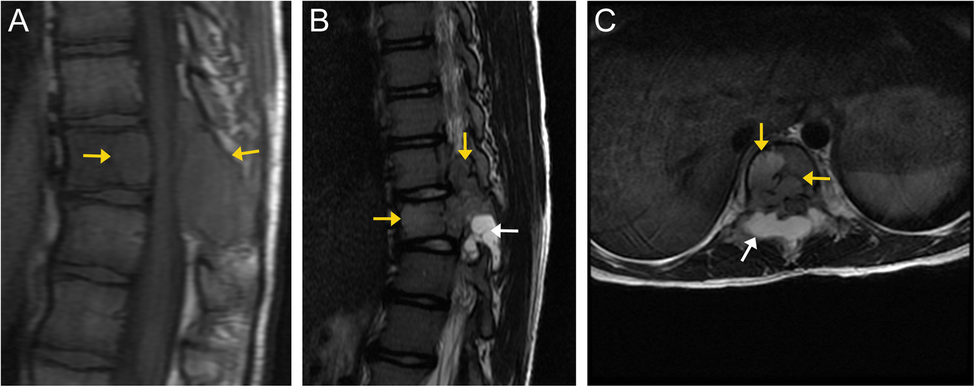 Fig. 8