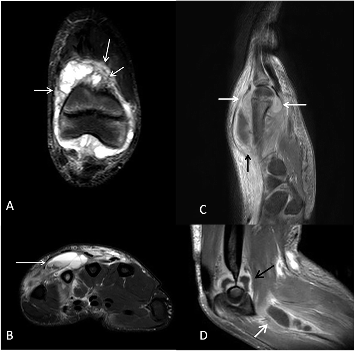 Fig. 6