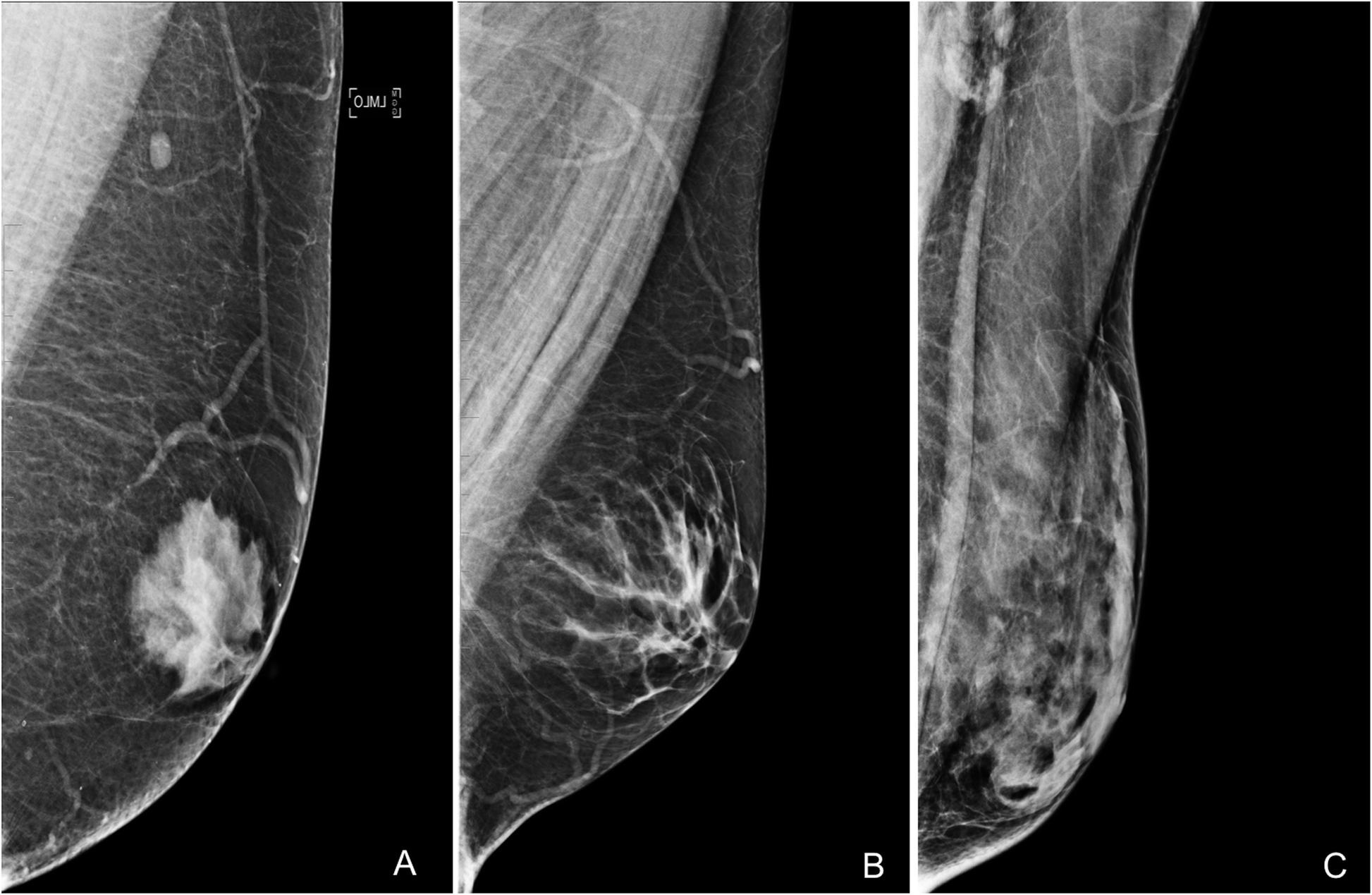 Fig. 30