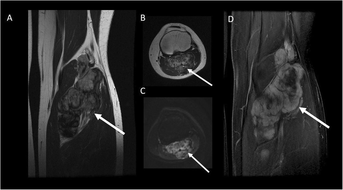 Fig. 5