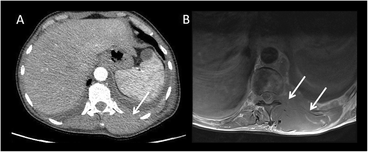 Fig. 6