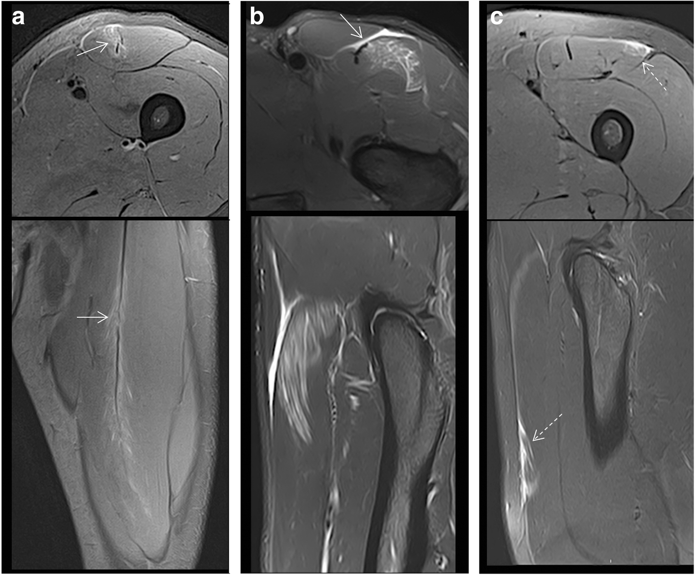 Fig. 5