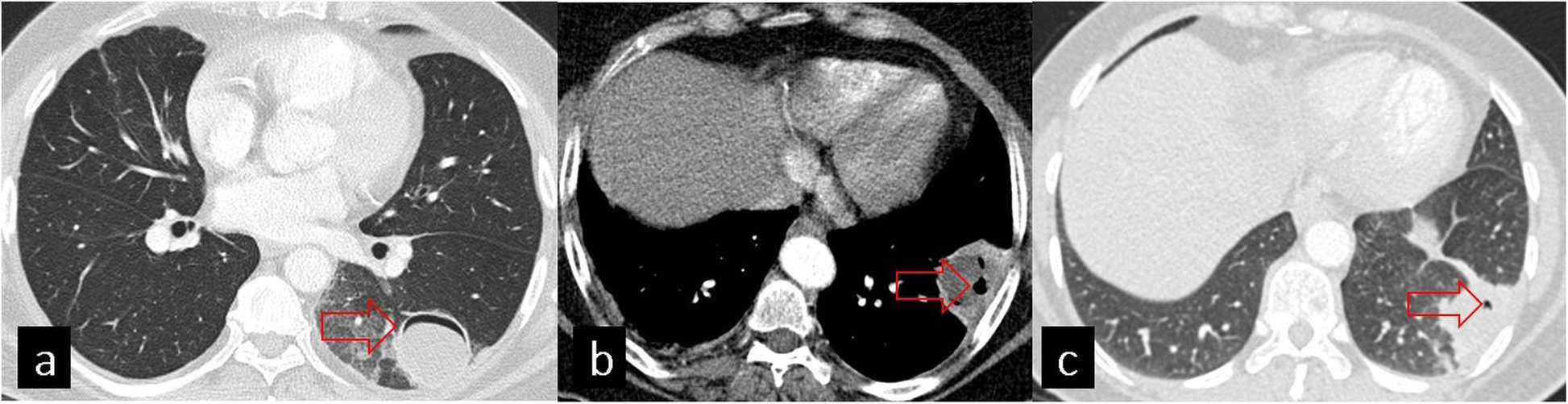 Fig. 5