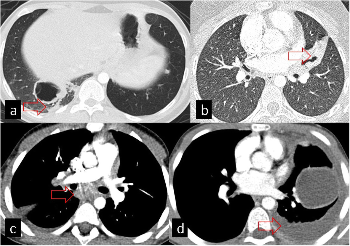 Fig. 8